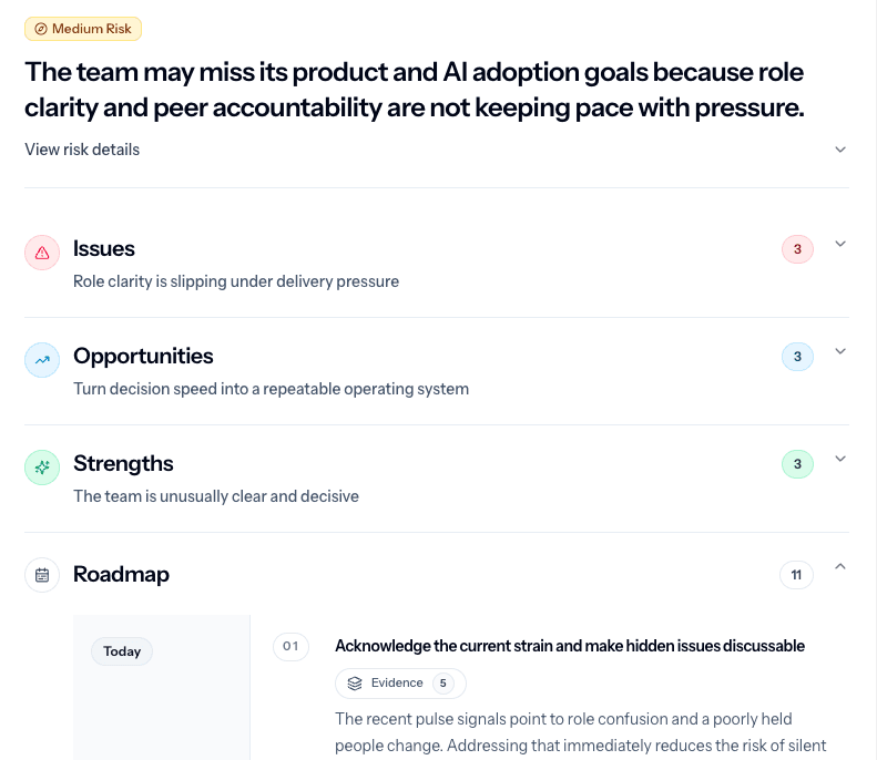 Team risk summary with issues, opportunities, strengths, and roadmap
